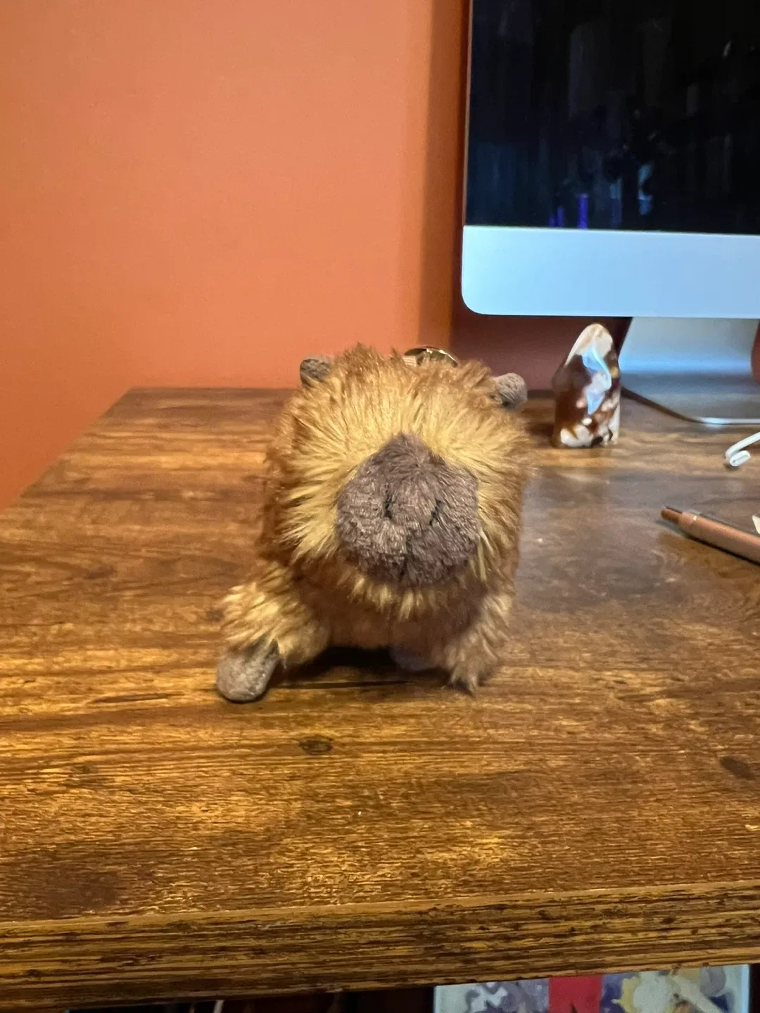 Rare Clyde the Capybara keychain Jellycat image indicator(2)