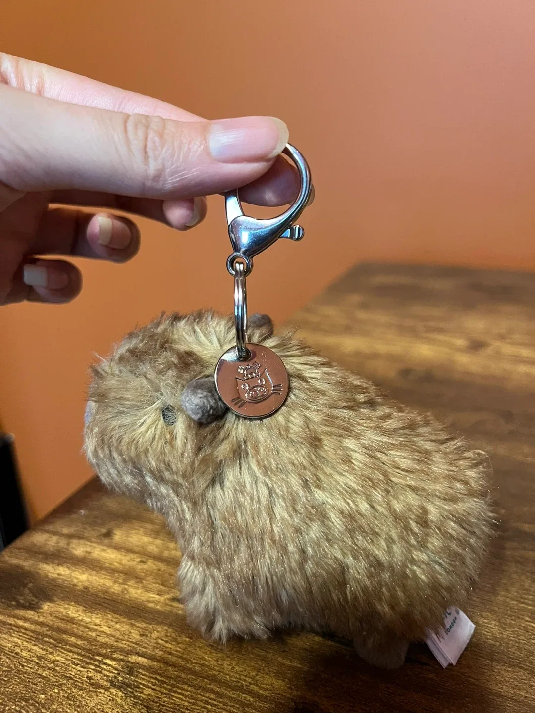 Rare Clyde the Capybara keychain Jellycat image indicator(4)