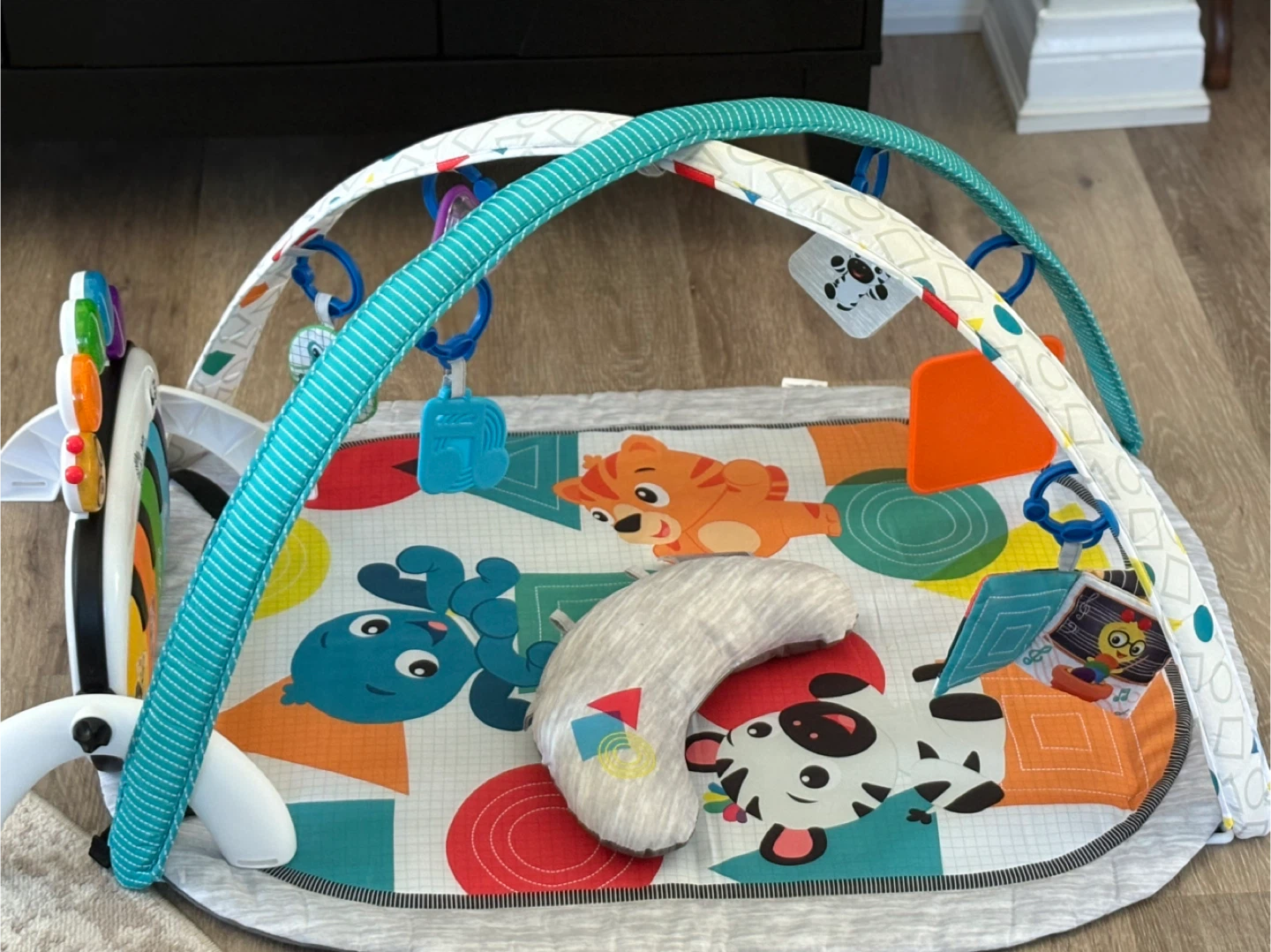 Baby Einstein Activity Gym