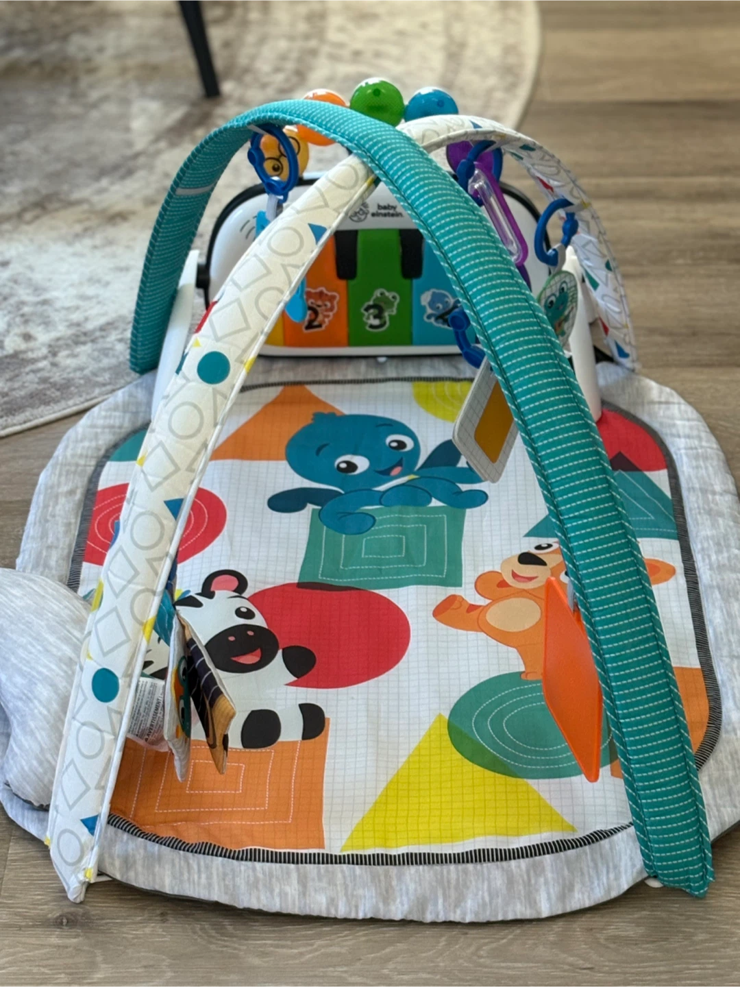 Baby Einstein Activity Gym - photo 2