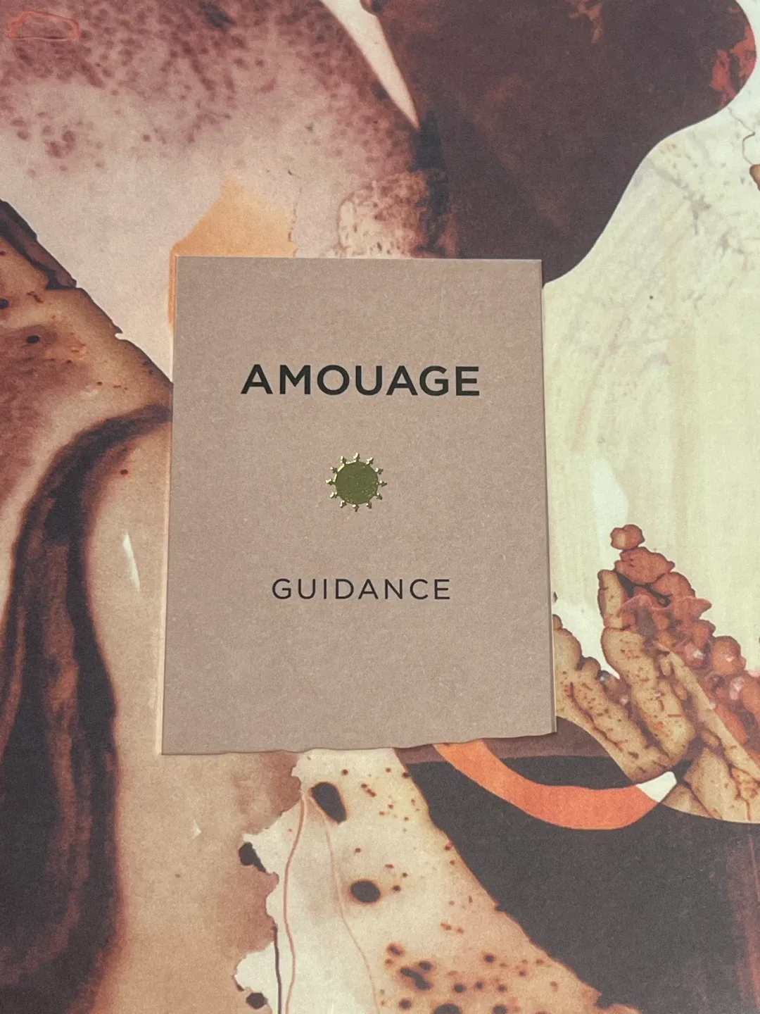 Amouage Guidance Eau de Parfum 100ml Perfume EDP image indicator(7)