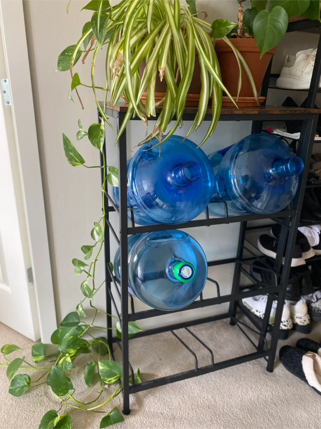 Water Jug Rack w/ Shelf