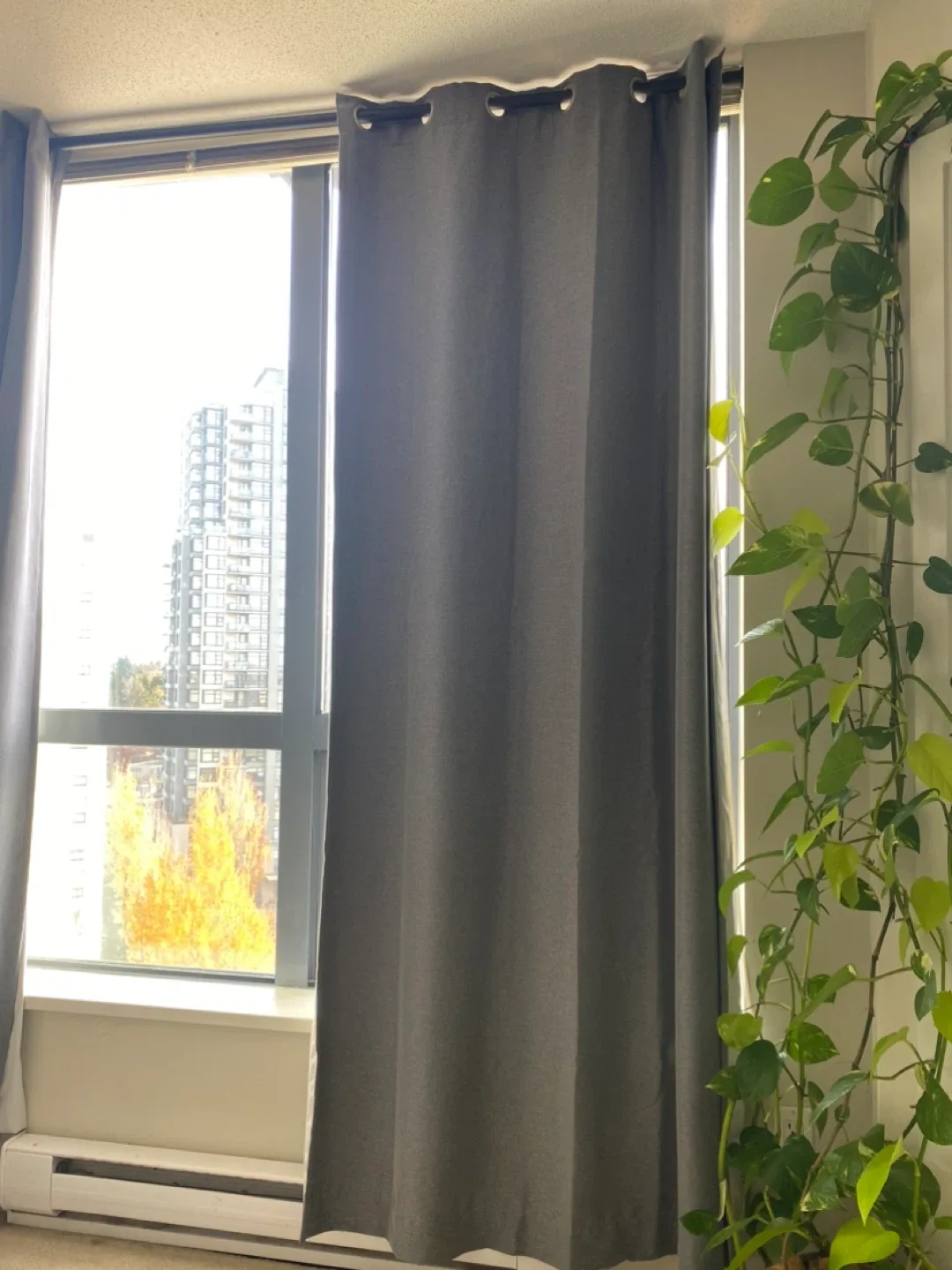 4 Blackout Grey Curtain + 2 Rods (black) image indicator(2)