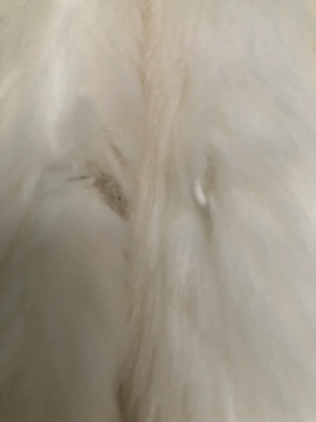 Vintage Boutique Collection Faux Fur Coat #Cleanout image indicator(4)