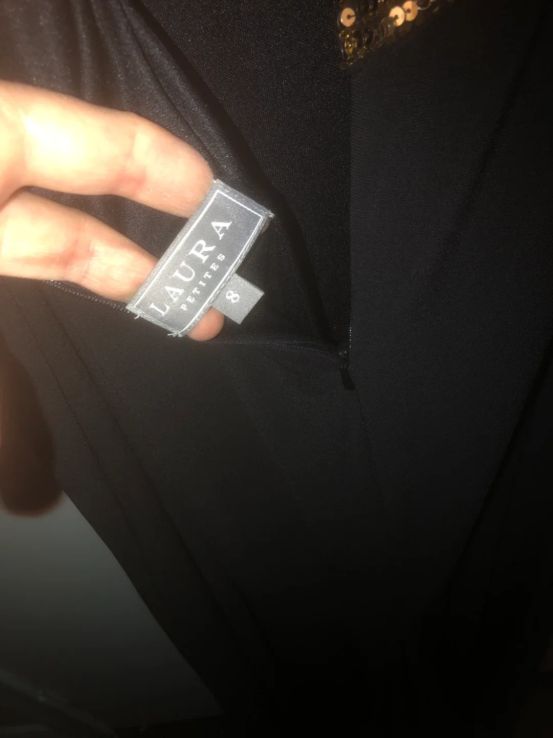 Laura Petites Black Dress - Size 8 image indicator(3)