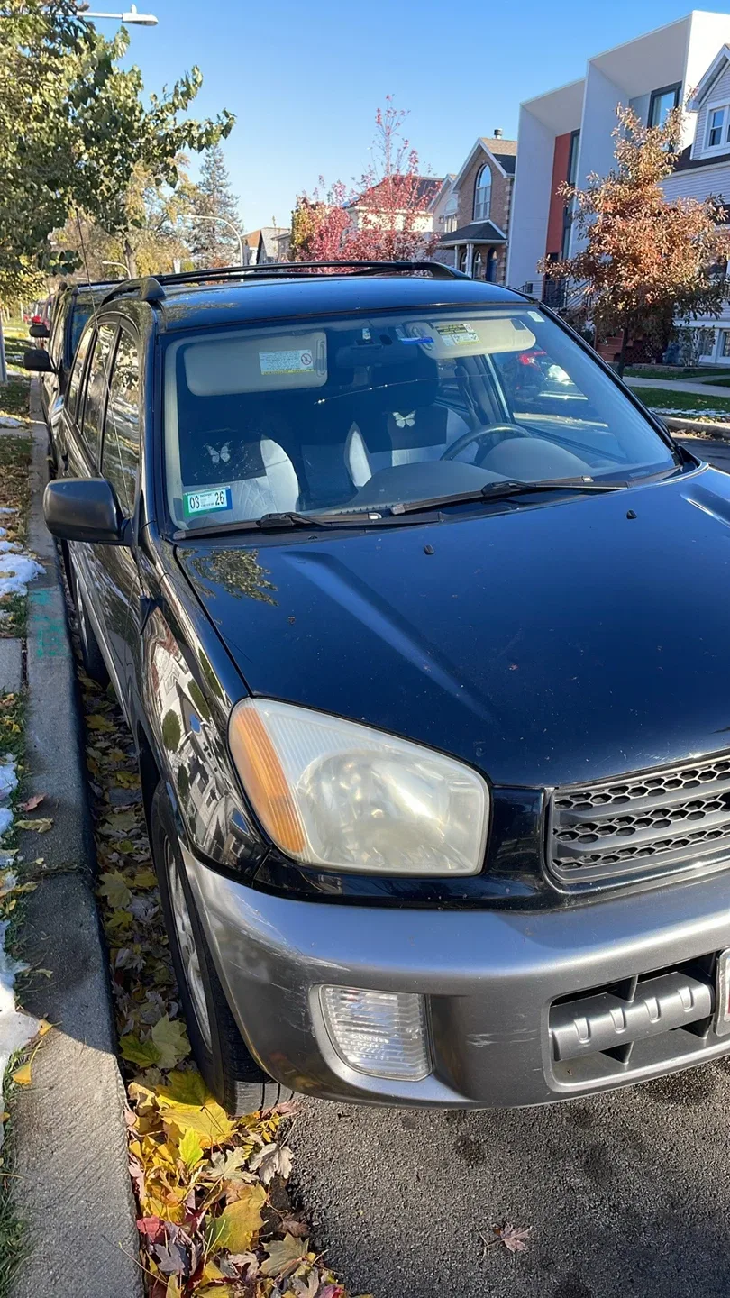 Black Toyota RAV4 SUV image indicator(3)