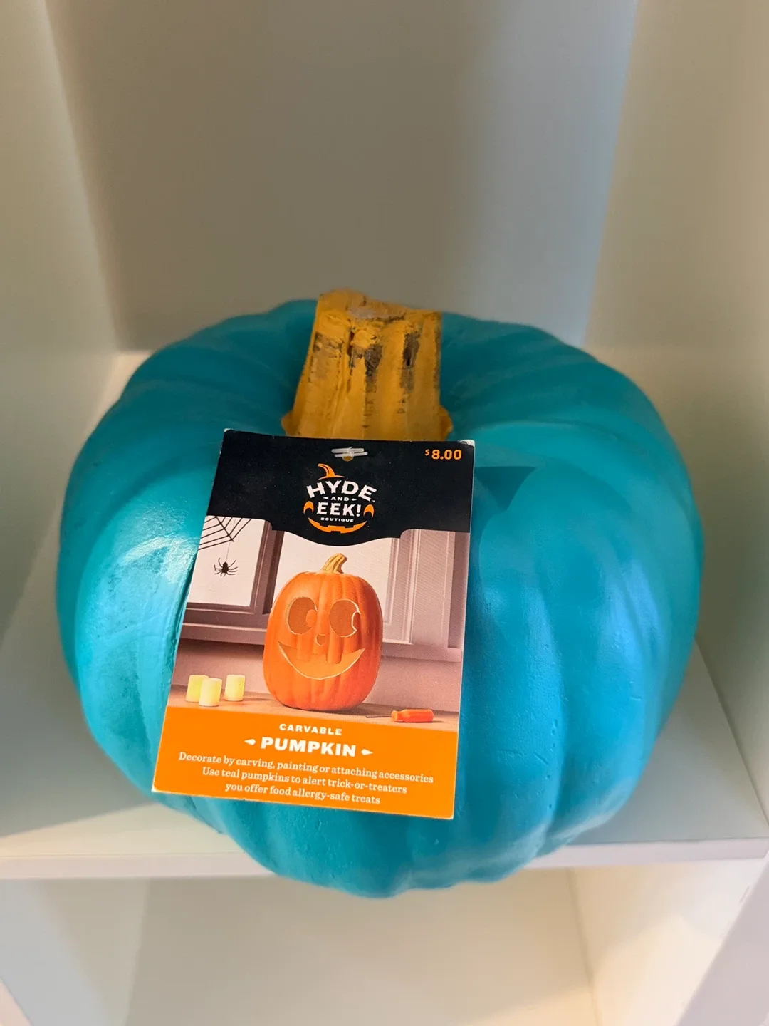 Holiday/Christmas gift-Hyde & Eek! Boutique Teal Pumpkin image indicator(2)