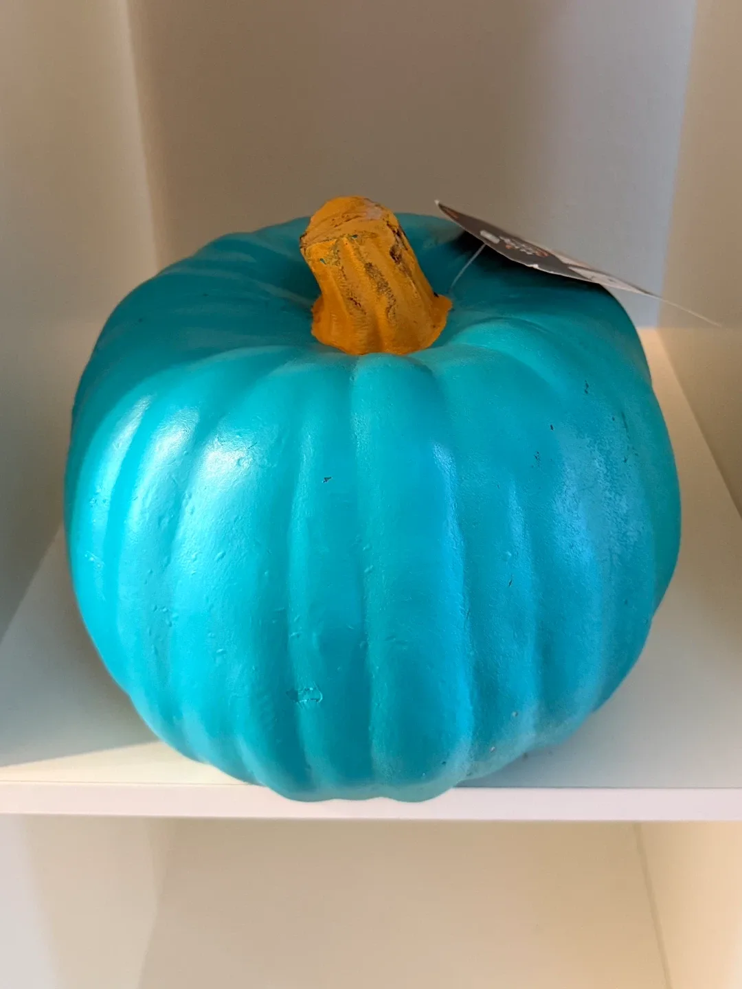 Holiday/Christmas gift-Hyde & Eek! Boutique Teal Pumpkin image indicator(3)