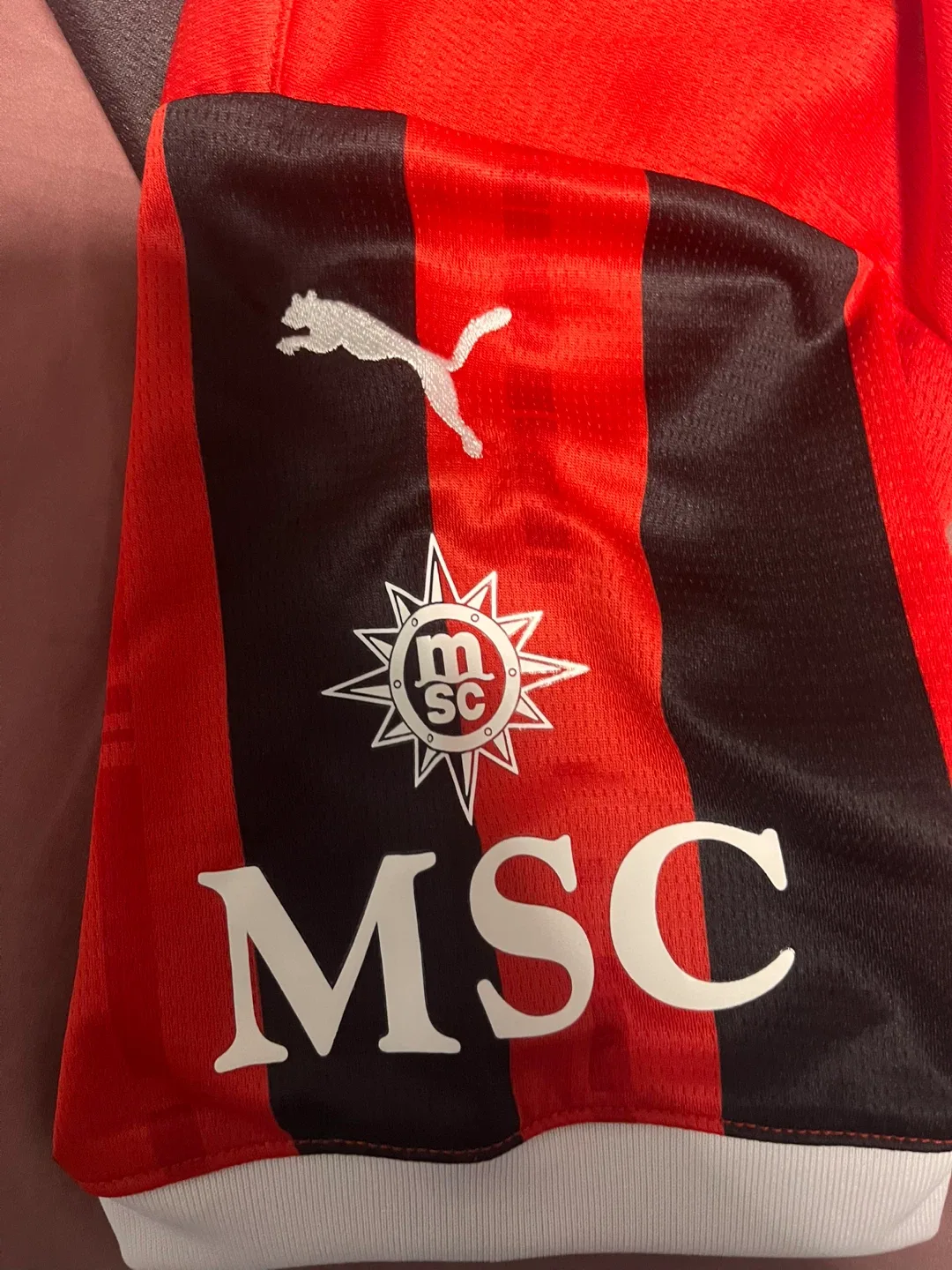 Puma AC Milan 125 years edition Rafa Leao Jersey - Size S image indicator(5)