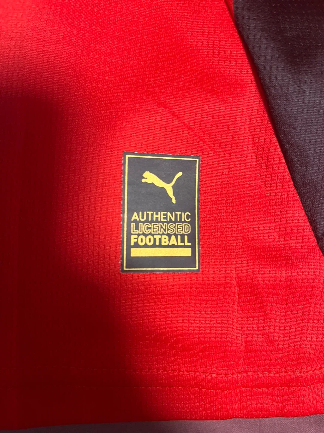 Puma AC Milan 125 years edition Rafa Leao Jersey - Size S image indicator(6)