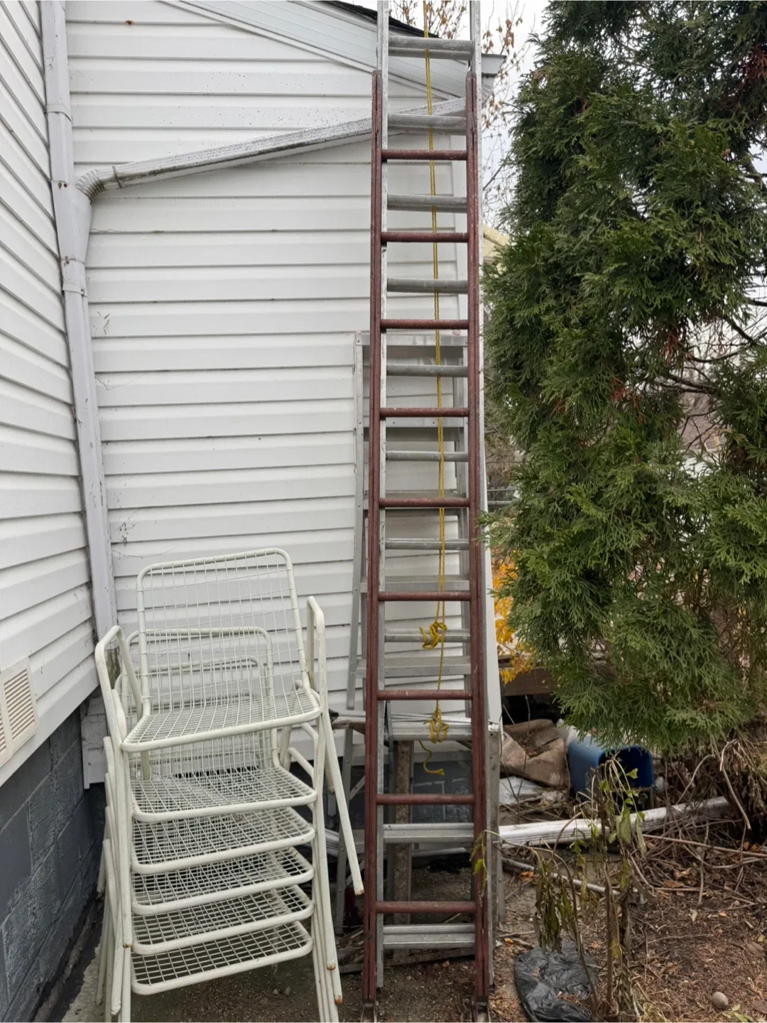 Ladder