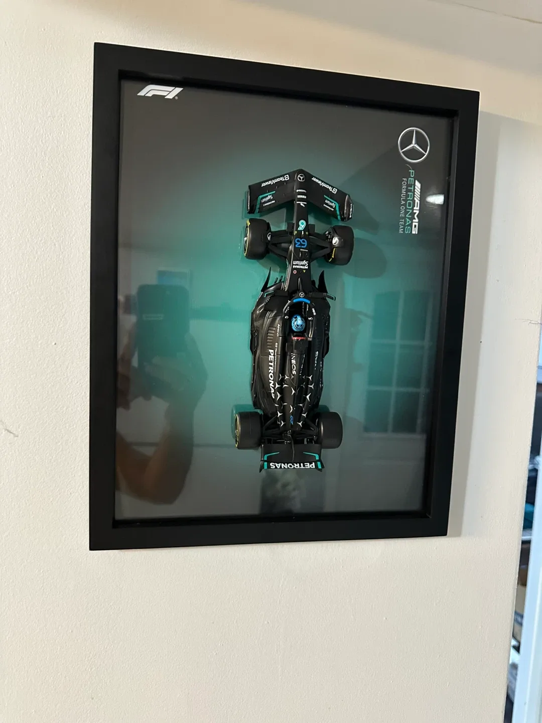 Formula 1 (F1) framed art with car image indicator(9)