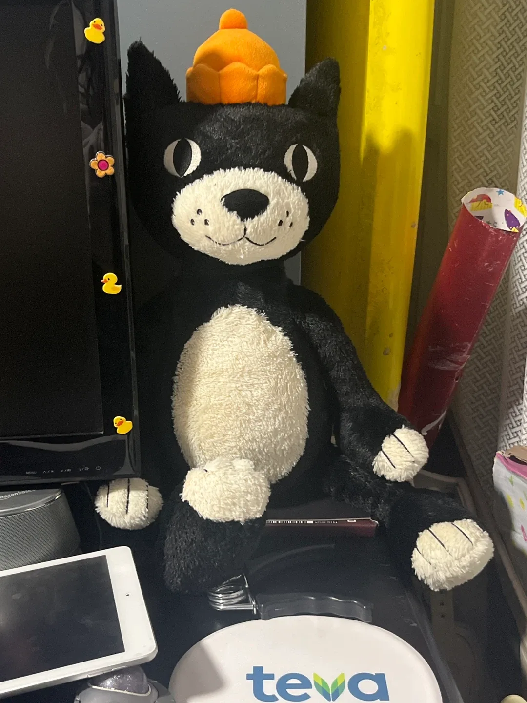 Giant jelly cat Jack