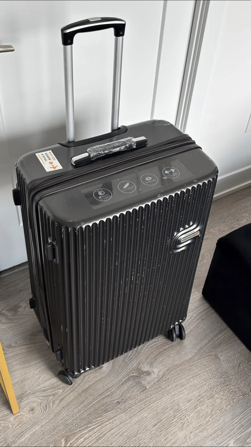 Large  Hard-Shell Suitcase with Spinner Wheels image indicator(2)
