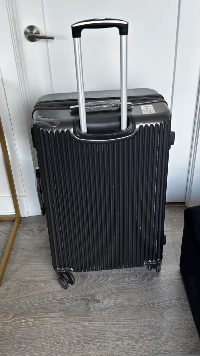 Large  Hard-Shell Suitcase with Spinner Wheels image indicator(3)