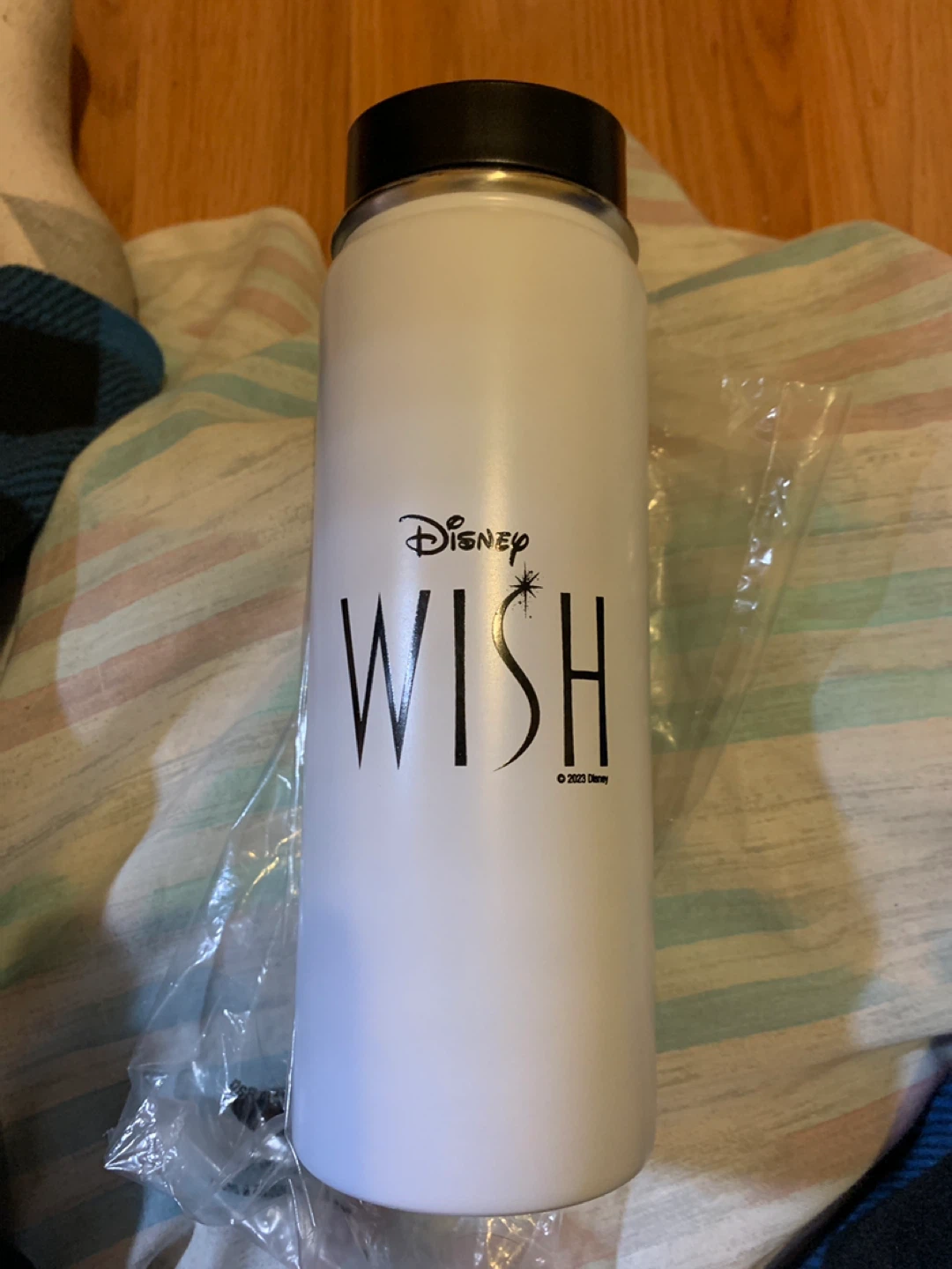 Disney Wish White Water Bottle