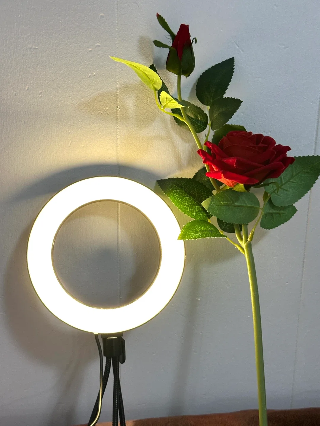 LED Ring Light with Tripod Stand image indicator(6)