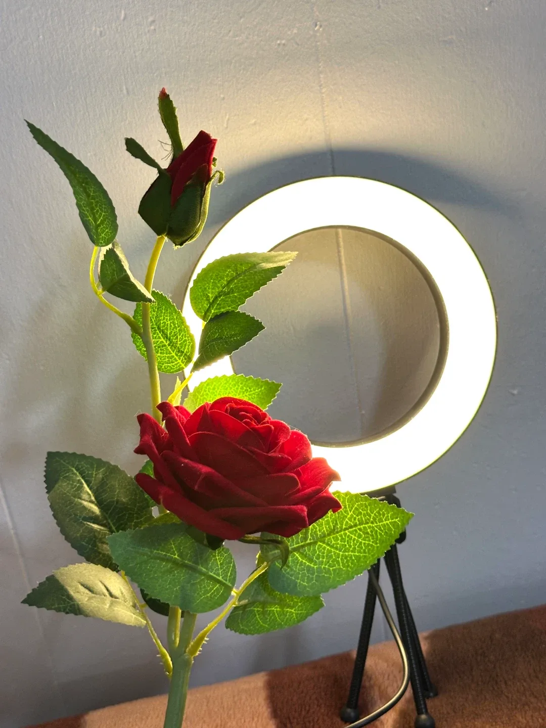 LED Ring Light with Tripod Stand image indicator(8)