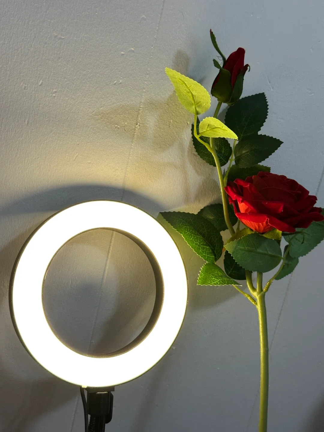 LED Ring Light with Tripod Stand image indicator(7)