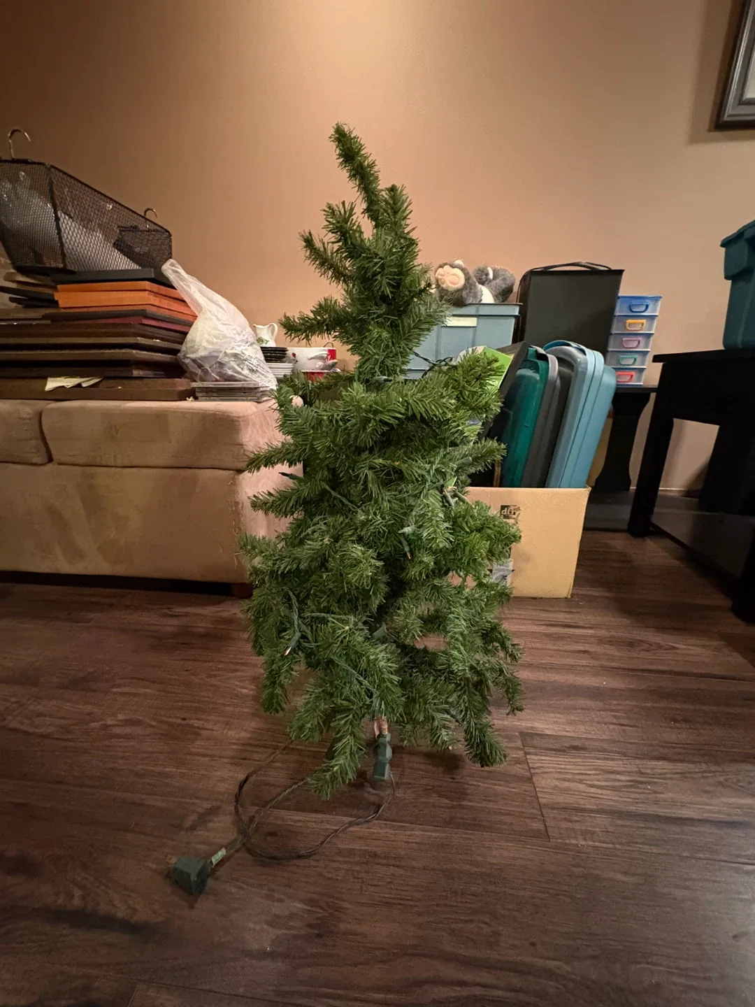 Christmas Tree / with Ornaments image indicator(2)