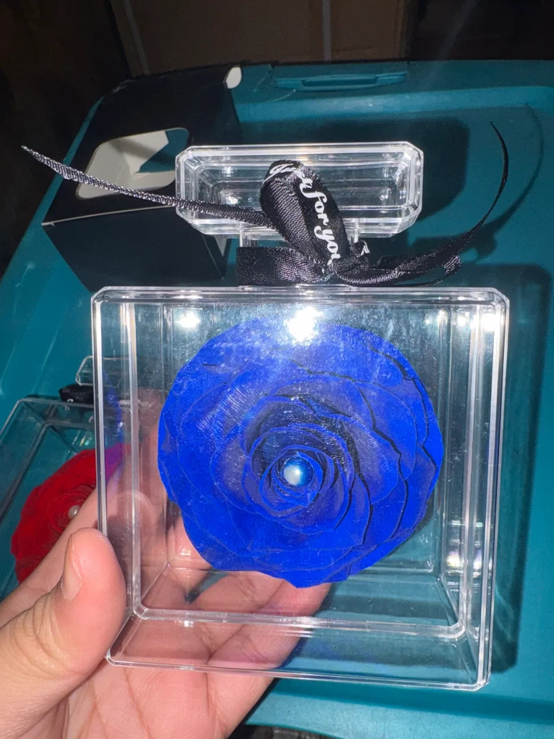 Preserved Rose in Acrylic Box image indicator(2)