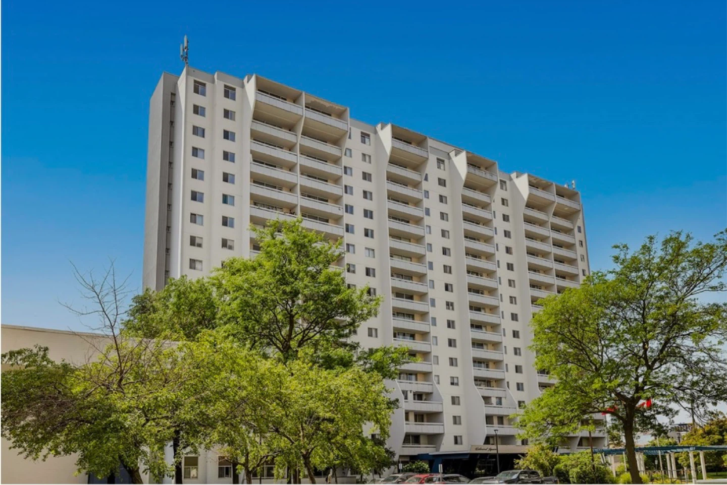 Apartment for rent in Waterloo - photo 4