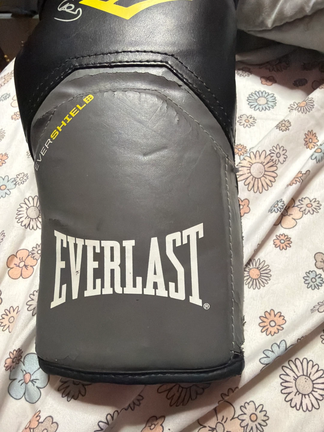 Everlast Boxing Gloves - Signed Boom Boom