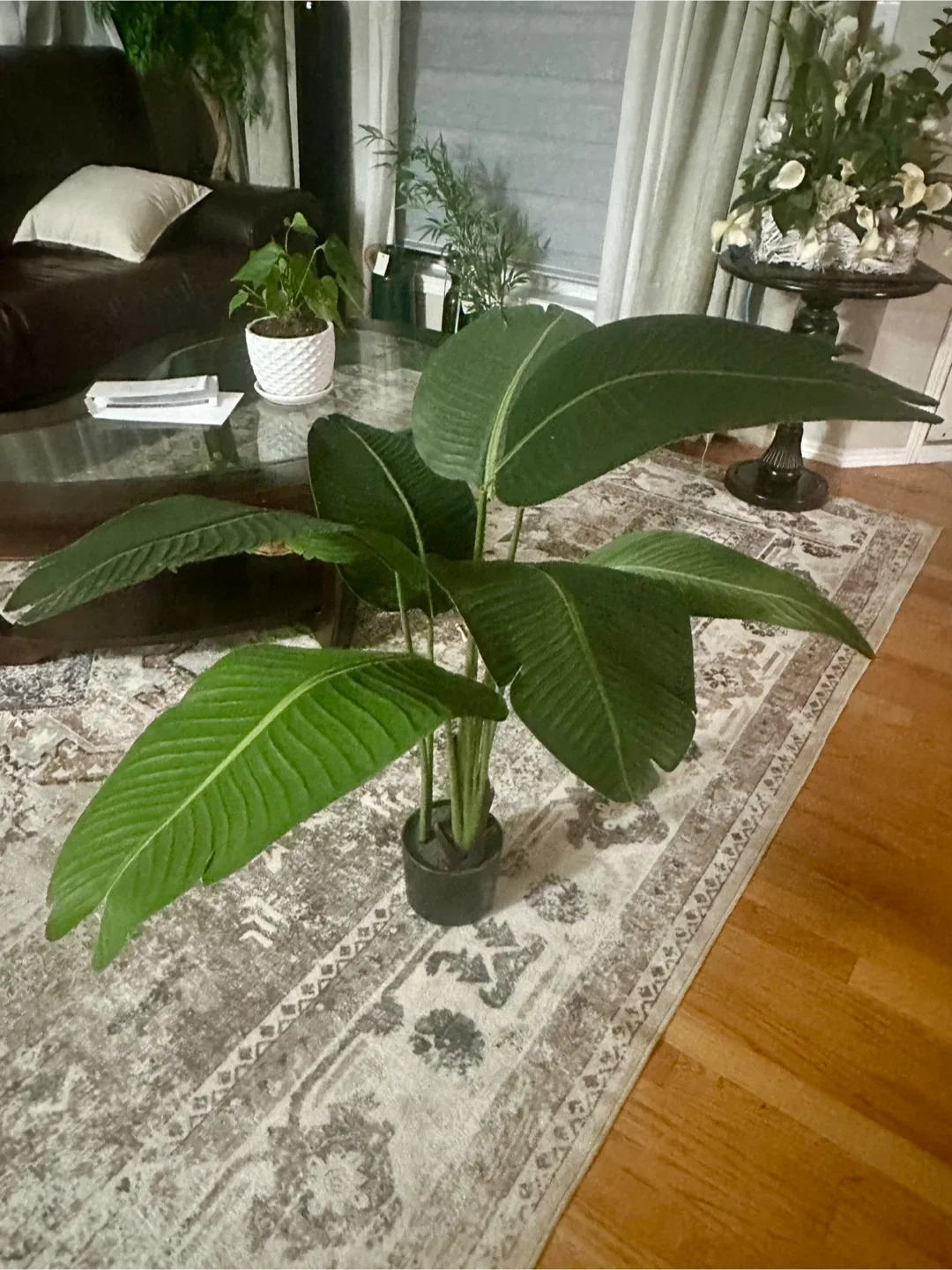 Faux Bird of Paradise Plant