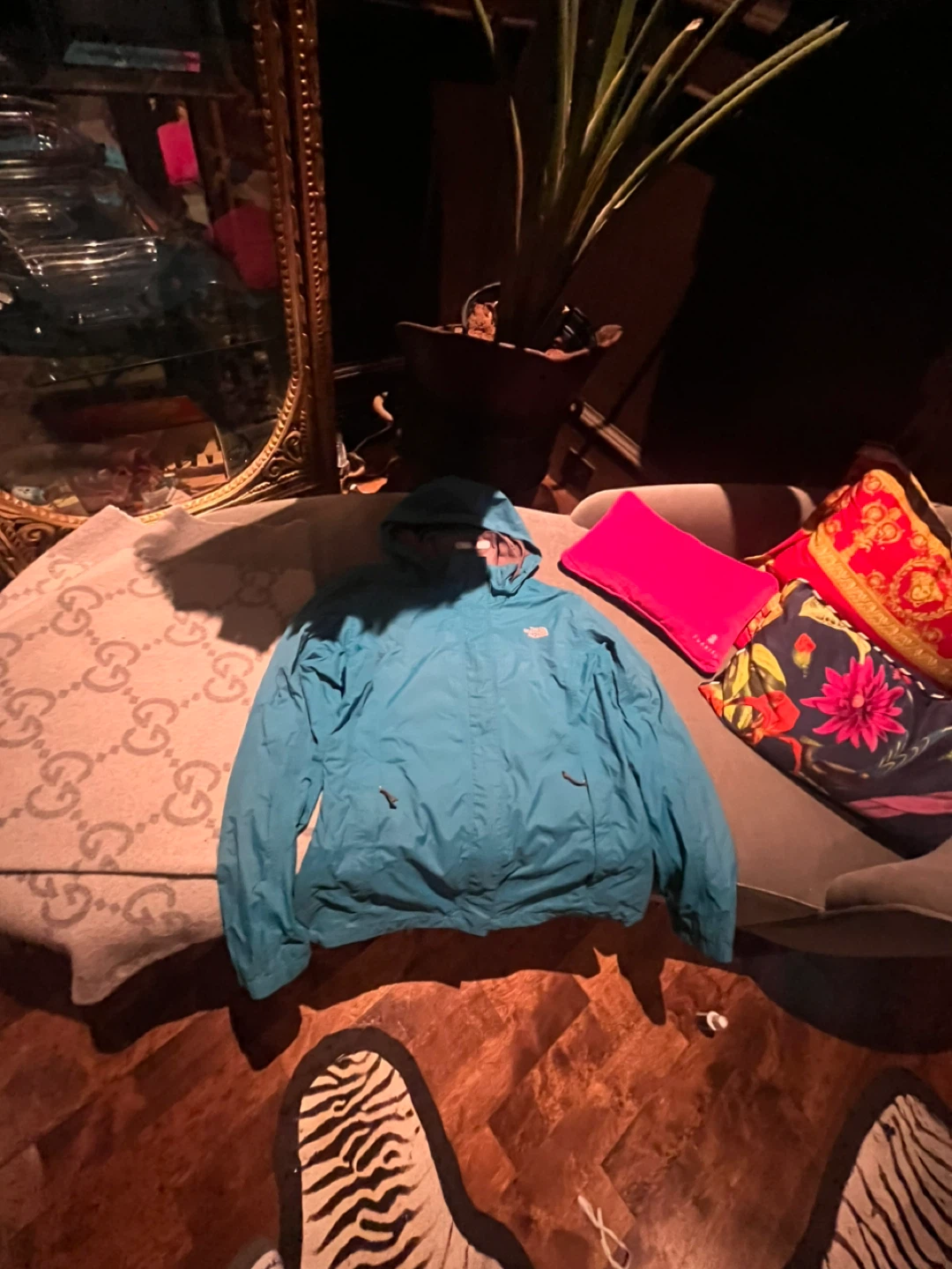 The North Face Blue Jacket