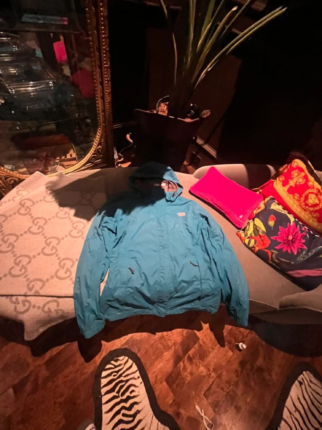 The North Face Blue Jacket thumbnail