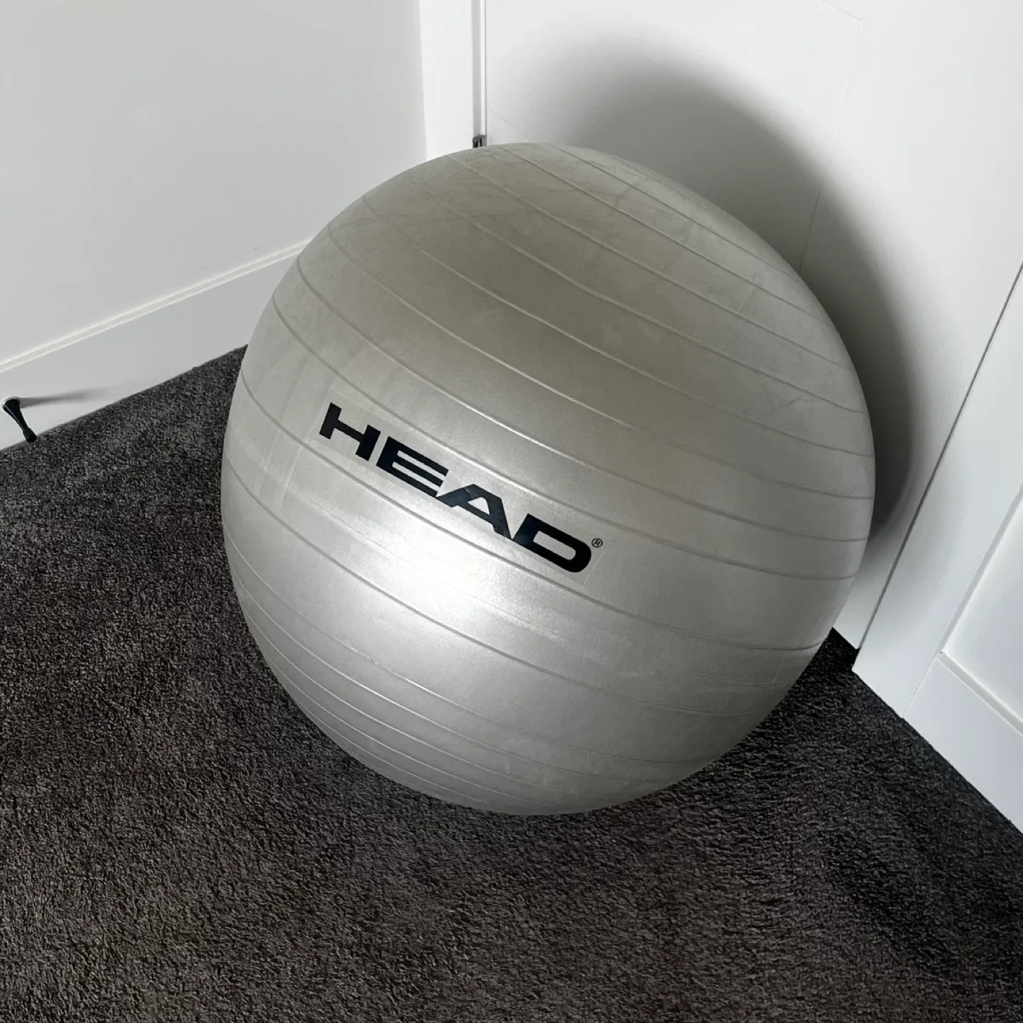 Exercise Ball