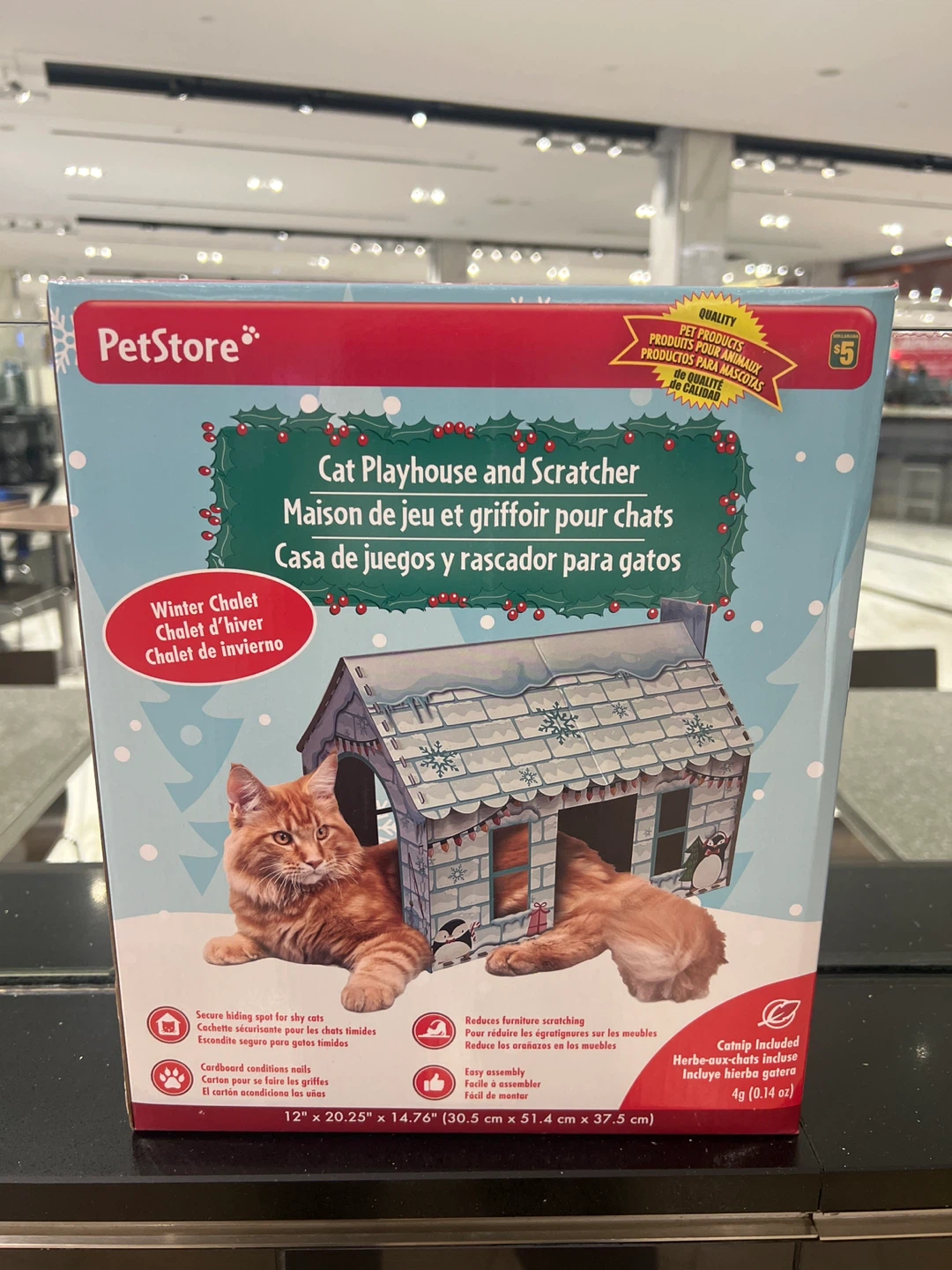 Dollarama Cat Playhouse and Scratcher - Winter Chalet