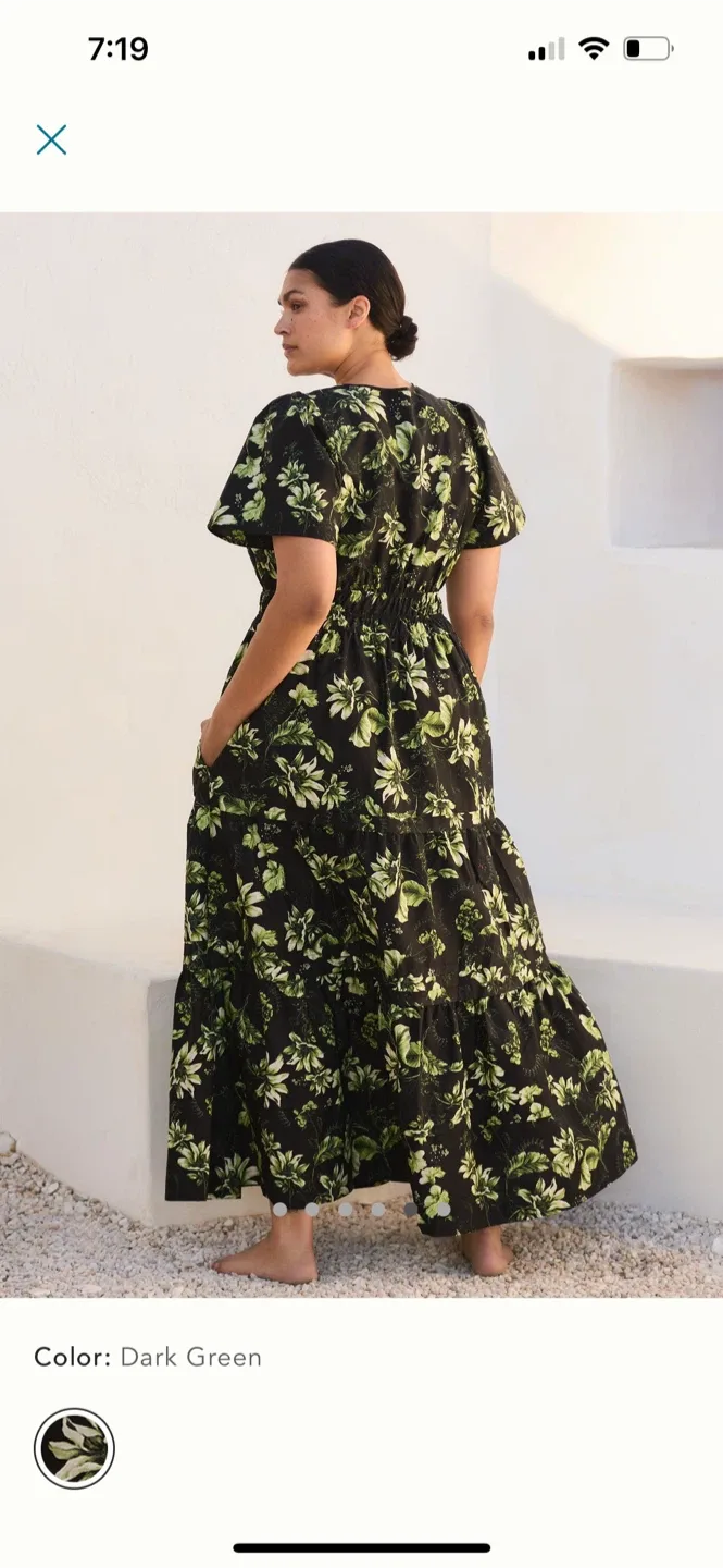 BNWT Anthropologie Somerset Maxi Dress M Petite image indicator(6)