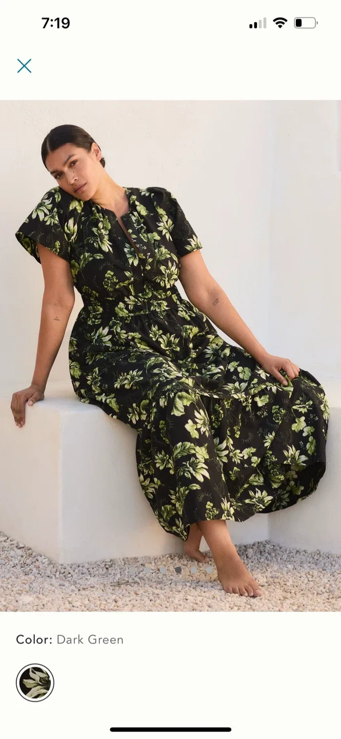 BNWT Anthropologie Somerset Maxi Dress M Petite image indicator(5)