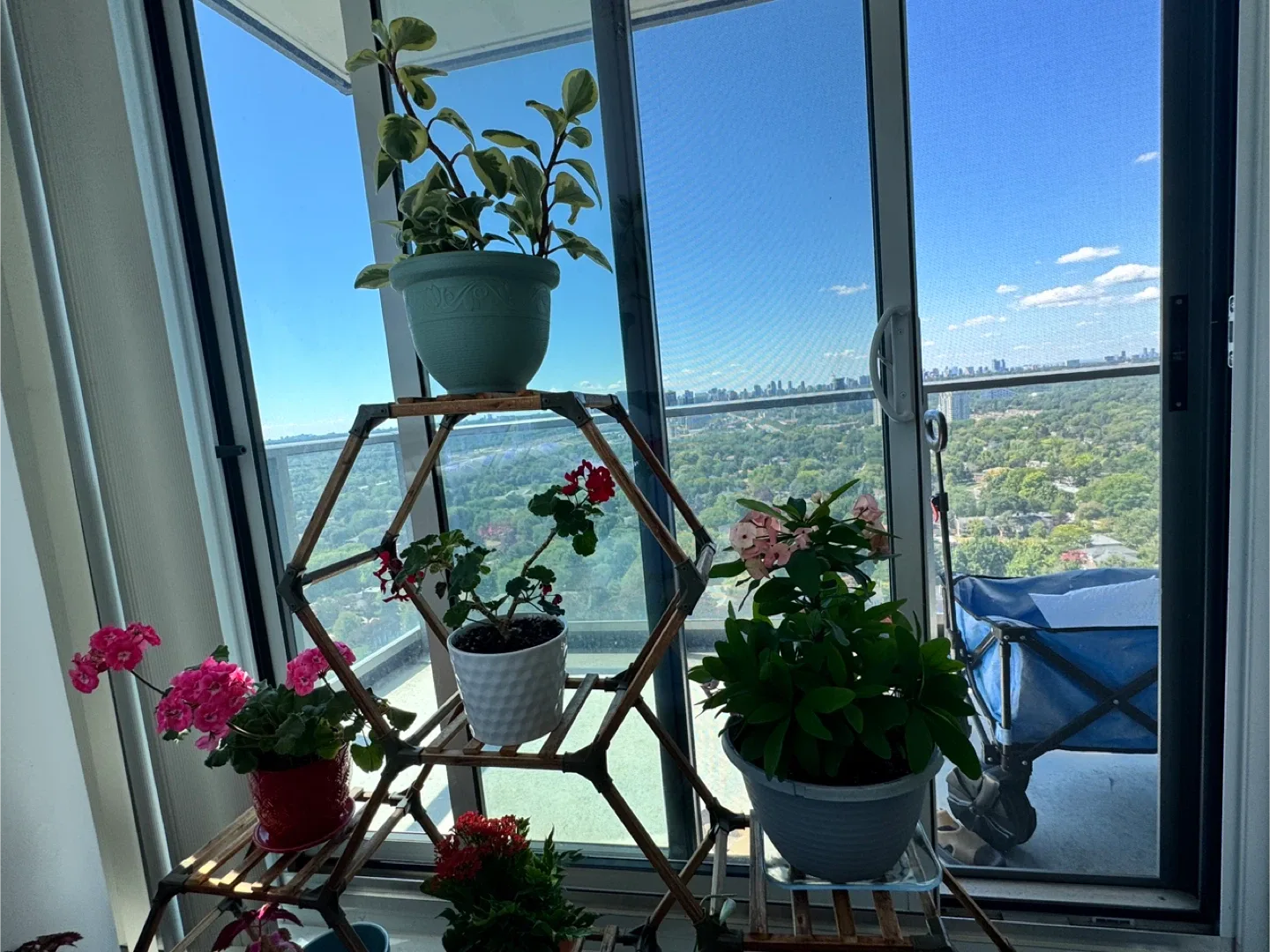 Plants and Pots image indicator(2)