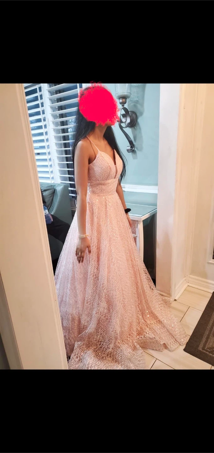 Rachel Allan Light Pink Glitter Dress (Worn Once)