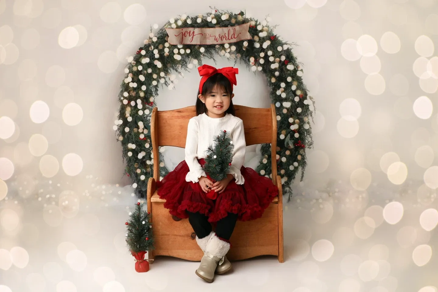 Christmas mini session image indicator(5)