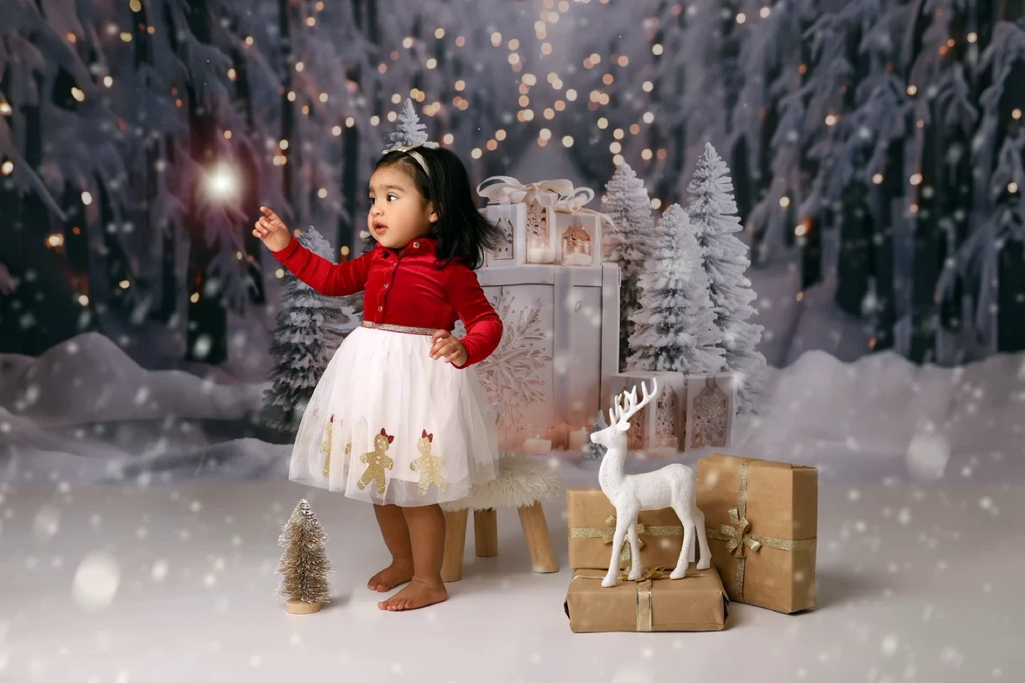 Christmas mini session image indicator(3)