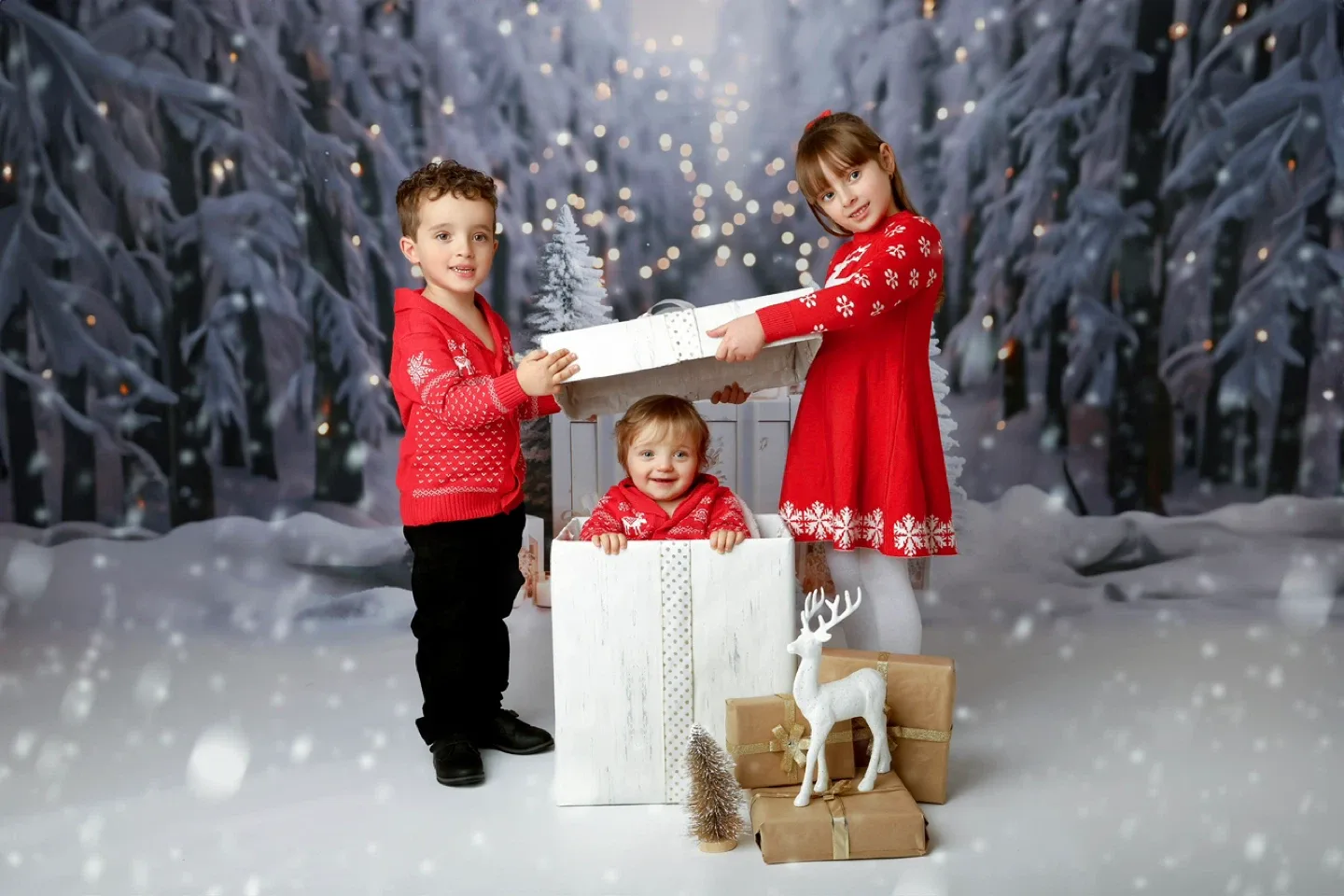 Christmas mini session image indicator(9)