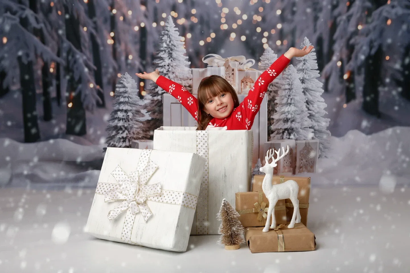Christmas mini session image indicator(7)