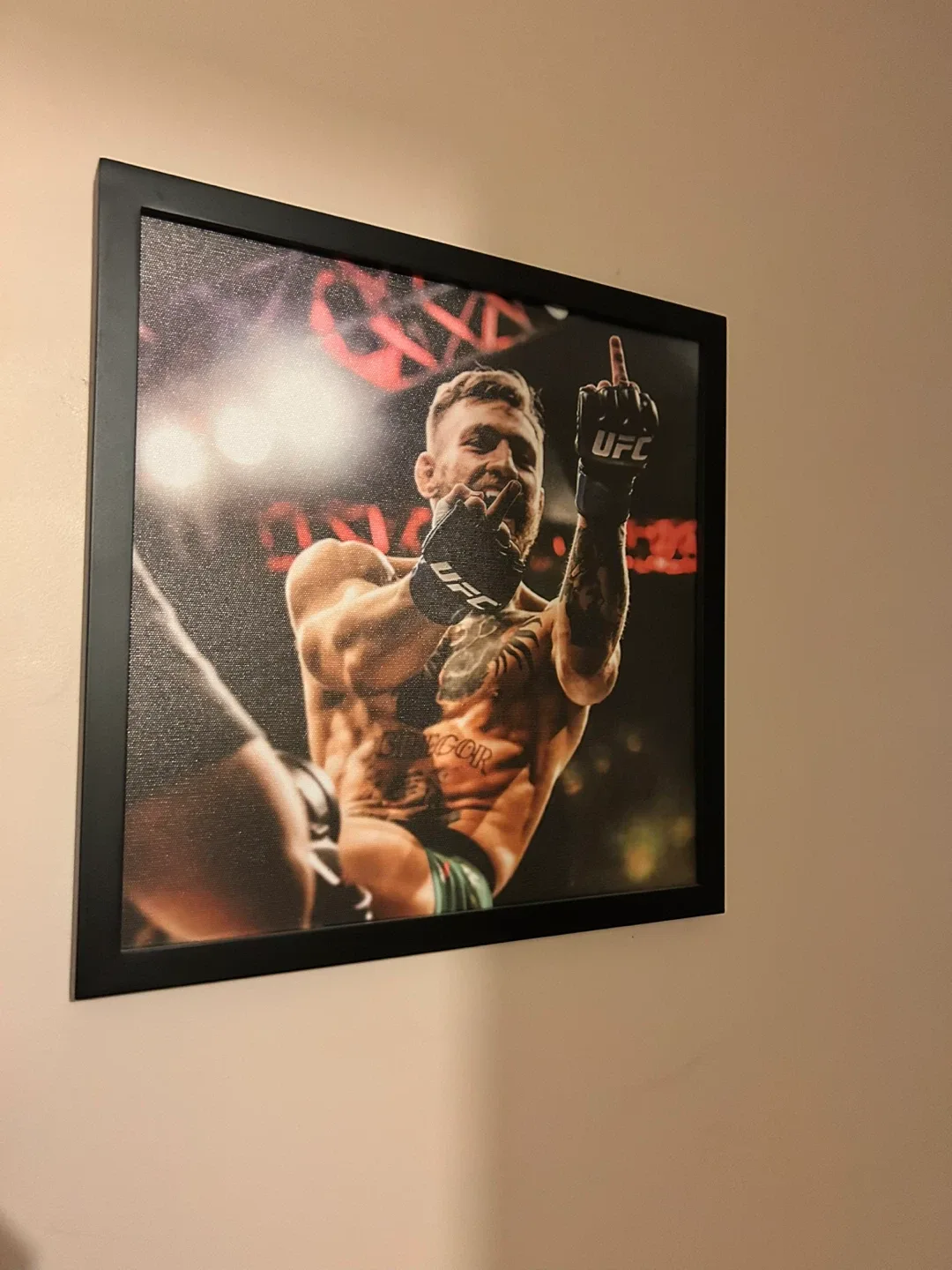 UFC framed Picture- Conor McGregor image indicator(3)