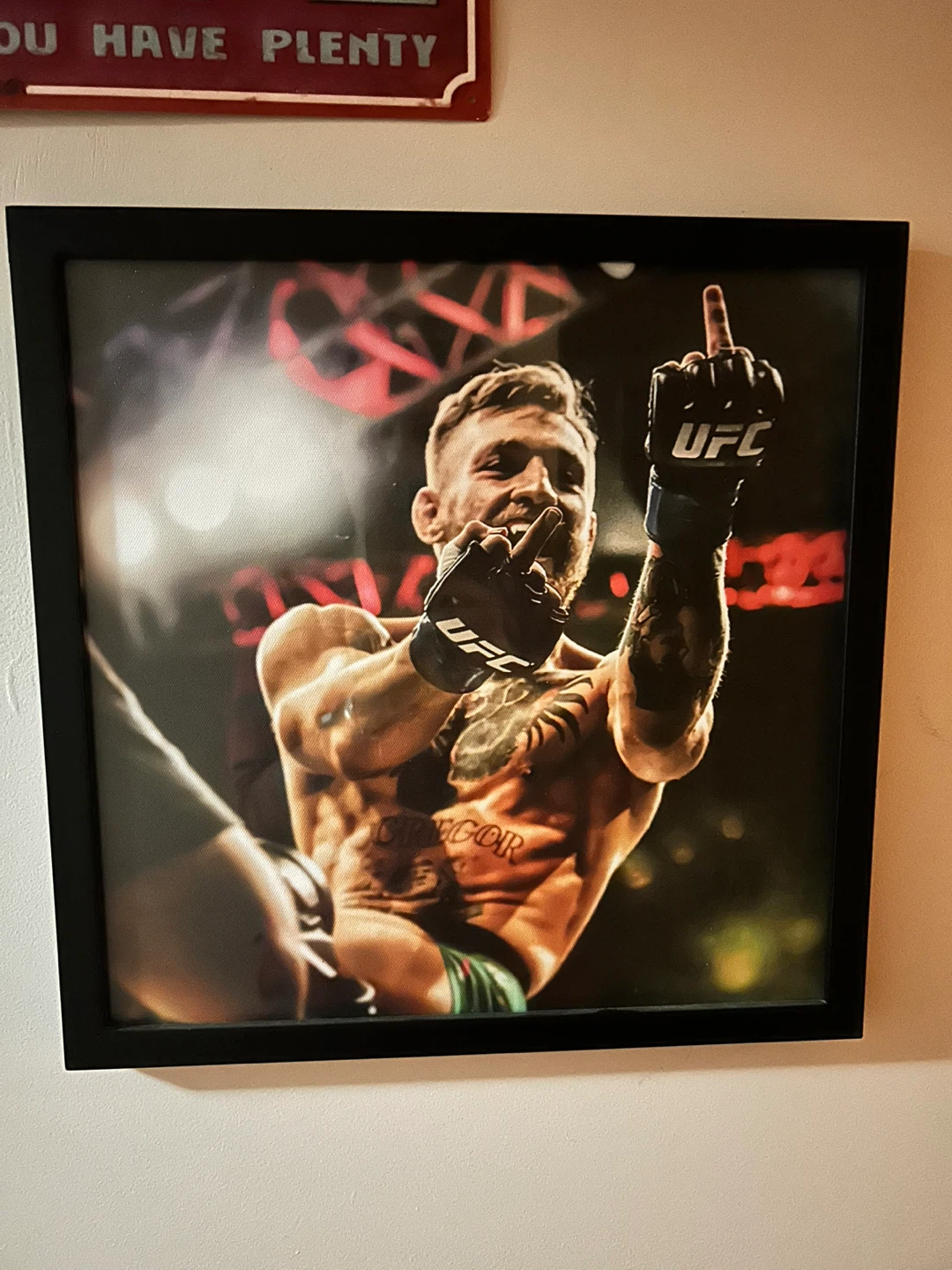 UFC framed Picture- Conor McGregor