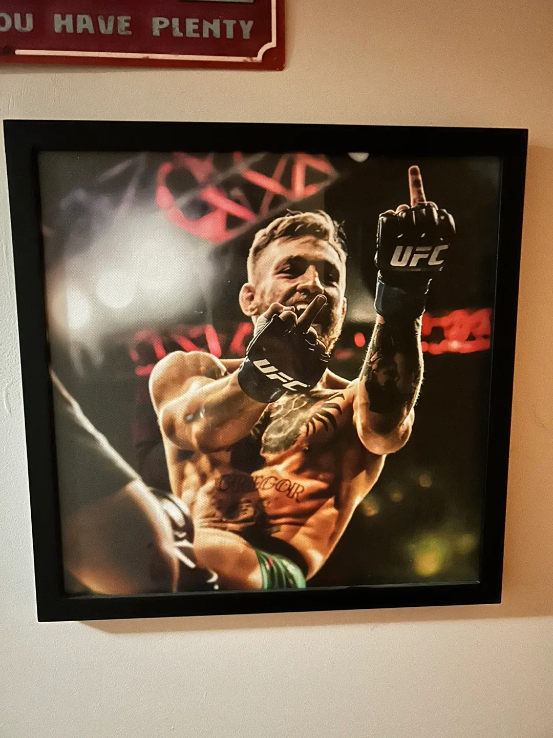UFC framed Picture- Conor McGregor thumbnail