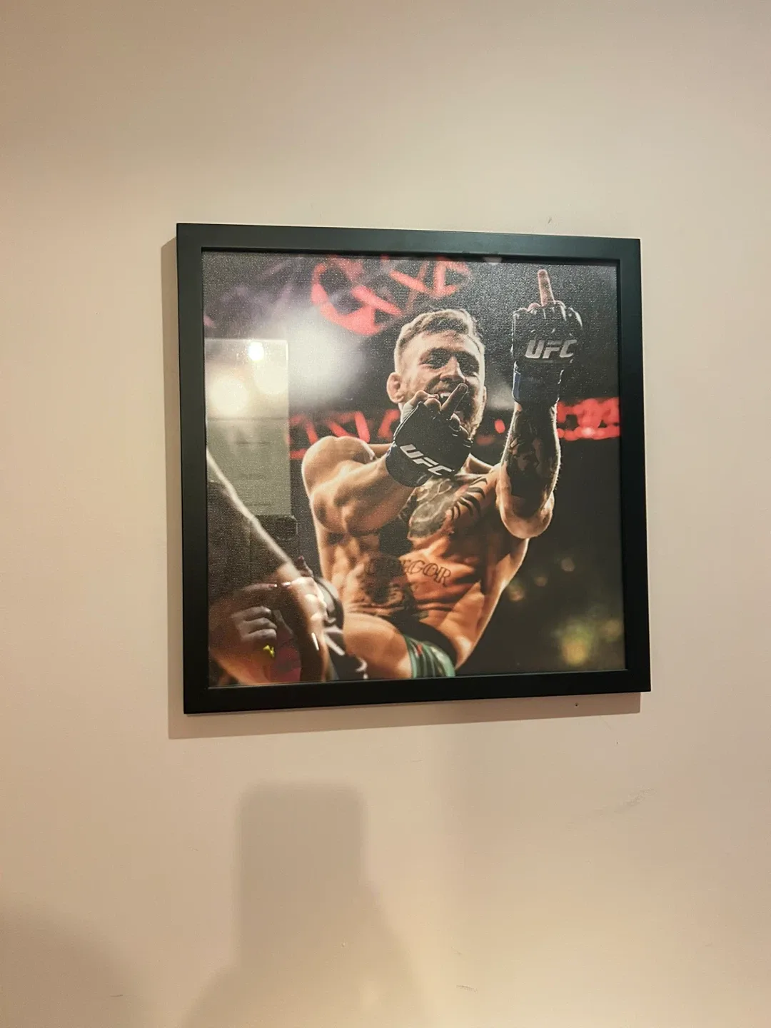 UFC framed Picture- Conor McGregor image indicator(2)