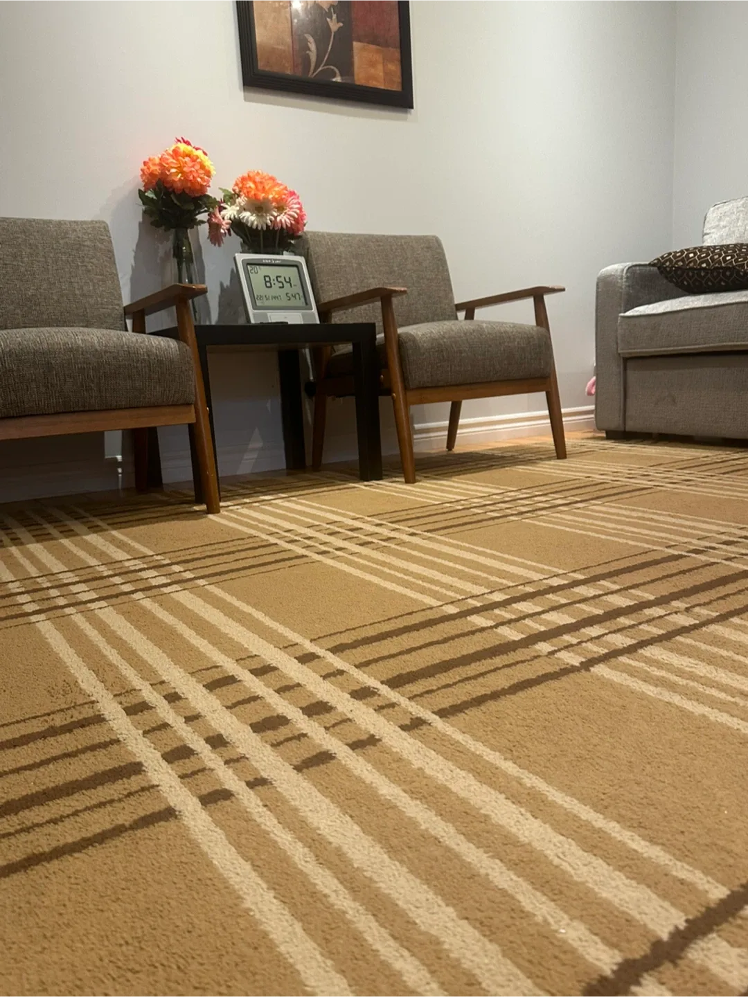 Patterned Area Rug image indicator(2)