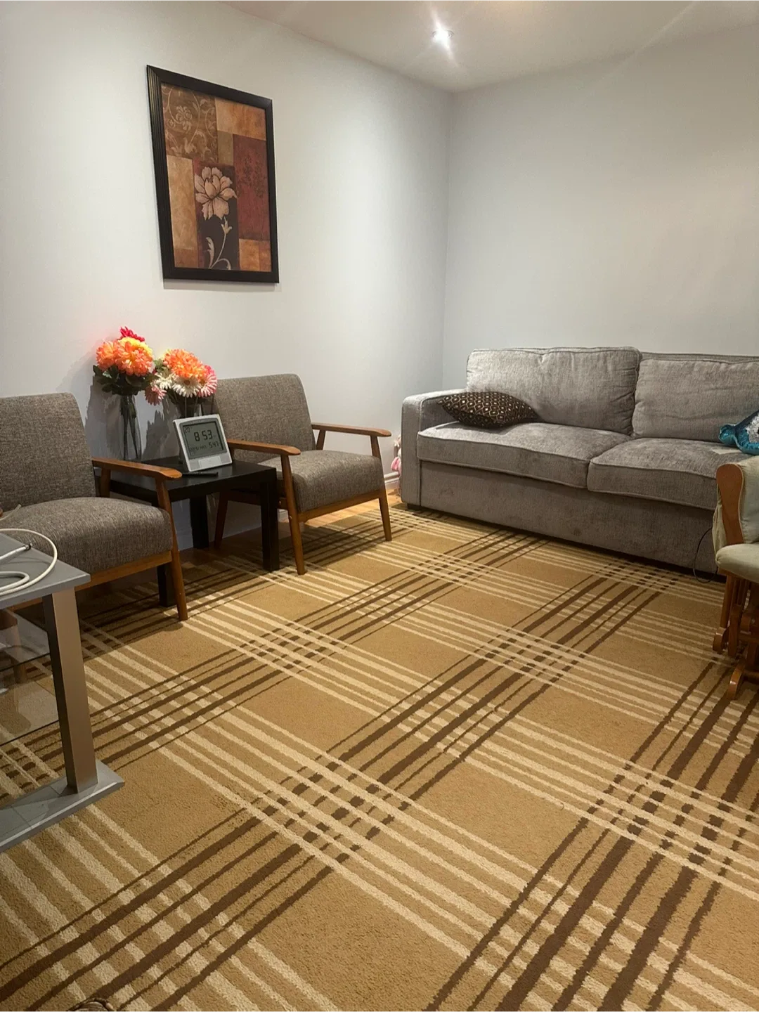 Patterned Area Rug image indicator(3)