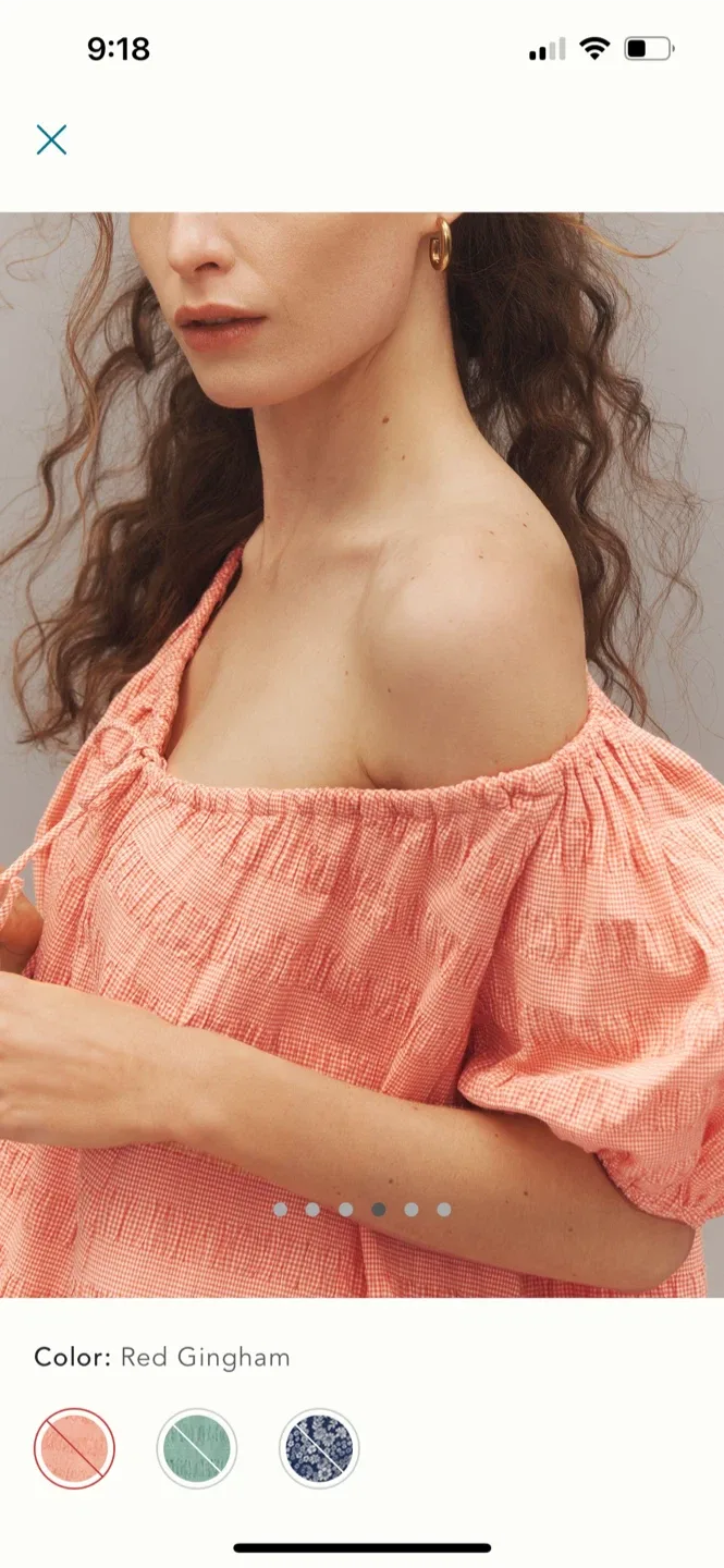 BNWT Anthropologie Mare Mare Mini Neck Swing Dress XS image indicator(2)