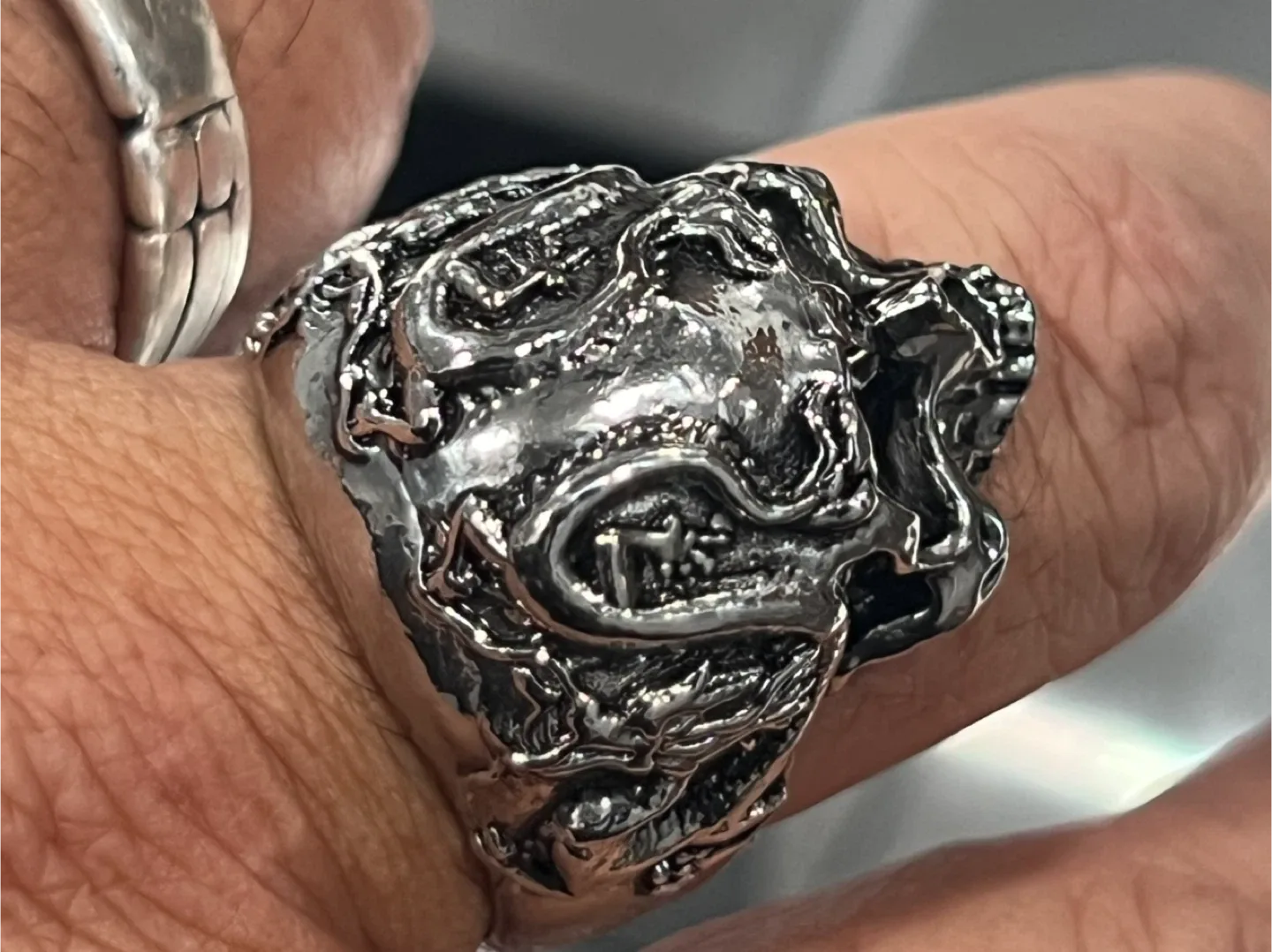 Skull Ring, Silver Color image indicator(5)