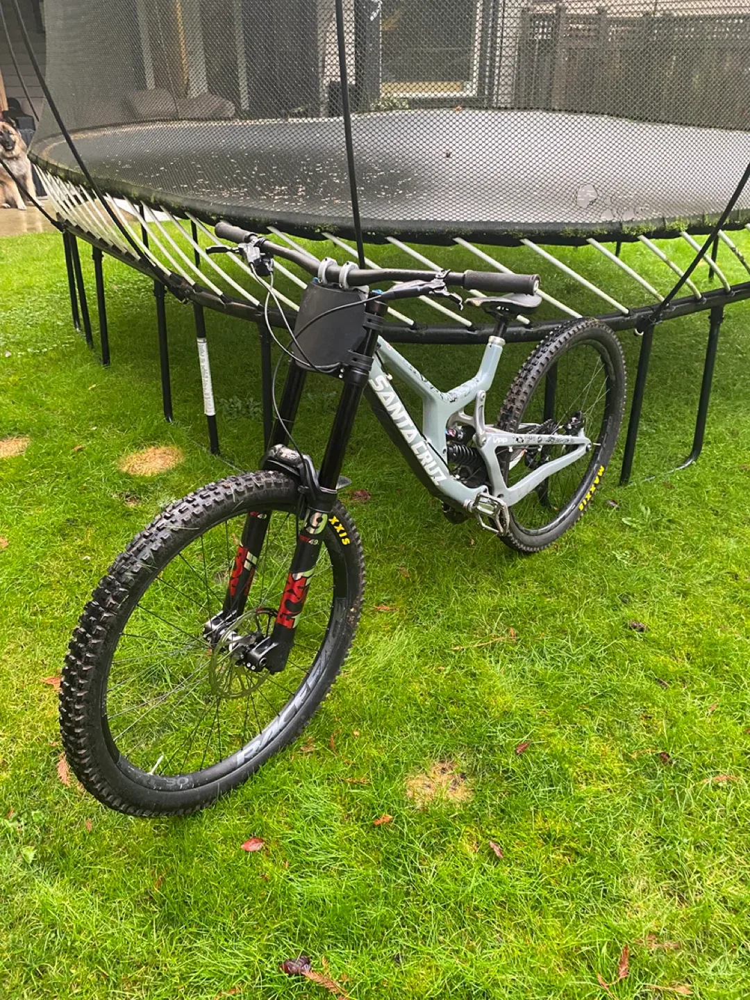 2020 Santa Cruz v10 (size large) image indicator(2)