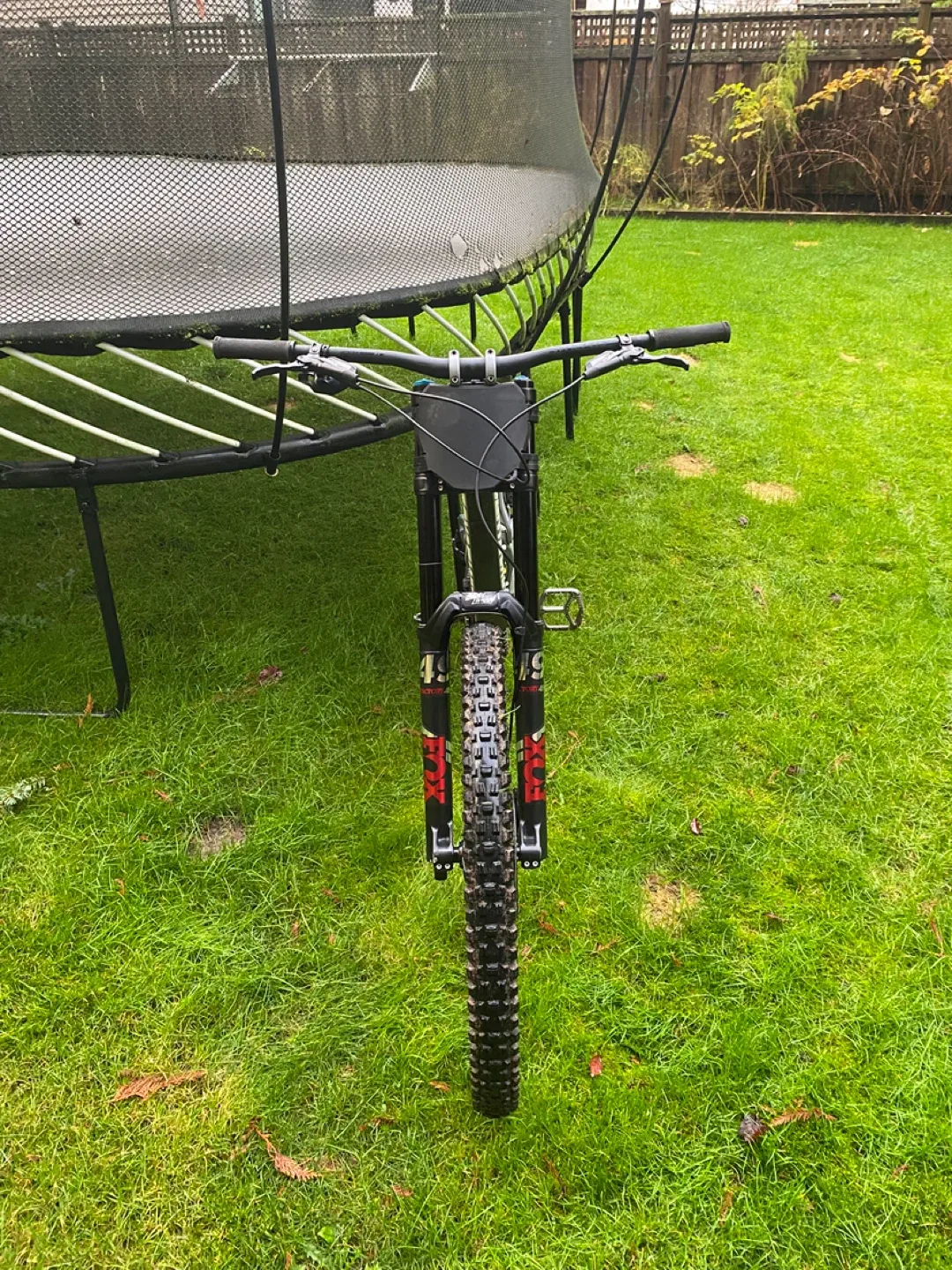 2020 Santa Cruz v10 (size large) image indicator(3)